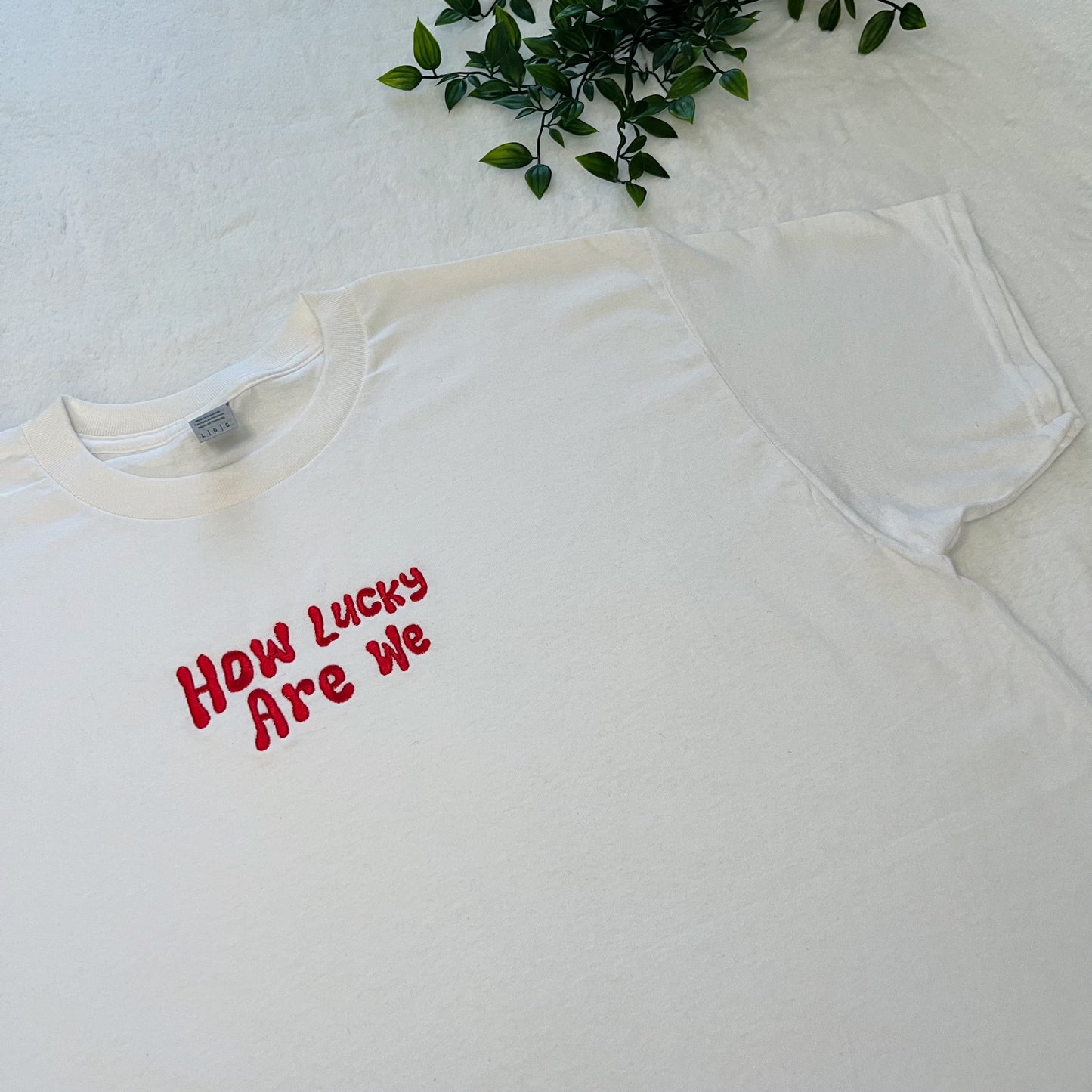 How Lucky Are We Embroidered T-shirt
